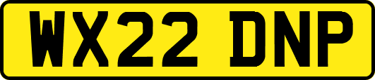 WX22DNP