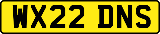WX22DNS