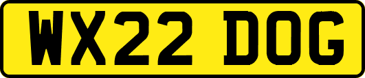 WX22DOG