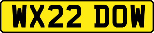 WX22DOW