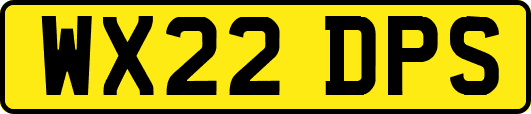 WX22DPS