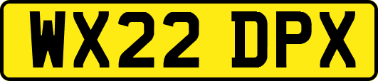 WX22DPX