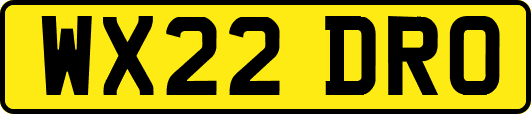 WX22DRO