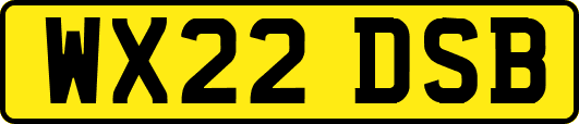 WX22DSB