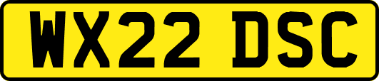 WX22DSC