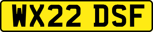 WX22DSF