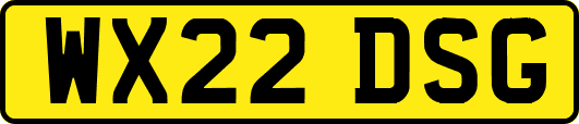 WX22DSG