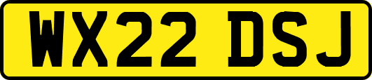 WX22DSJ