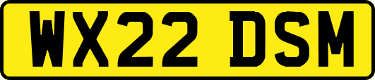 WX22DSM