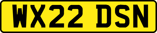 WX22DSN