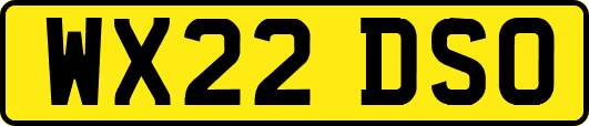 WX22DSO