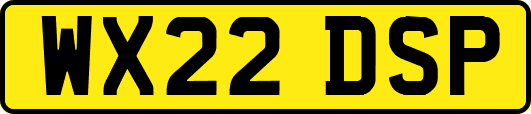 WX22DSP