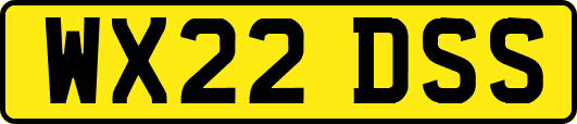 WX22DSS