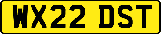 WX22DST