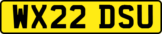 WX22DSU