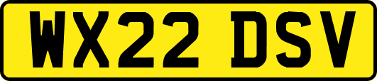 WX22DSV