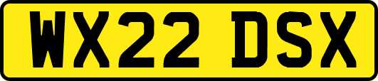 WX22DSX