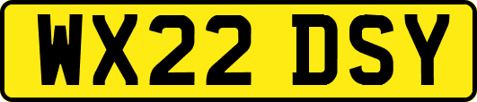 WX22DSY
