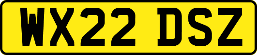 WX22DSZ