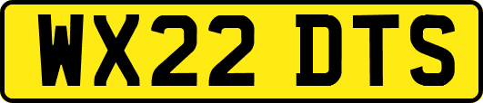 WX22DTS