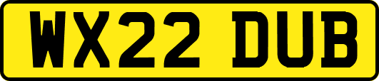 WX22DUB