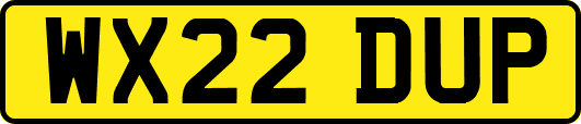 WX22DUP