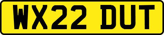 WX22DUT