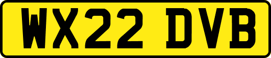 WX22DVB
