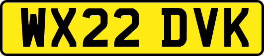 WX22DVK