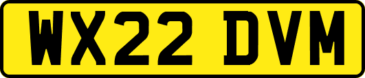 WX22DVM