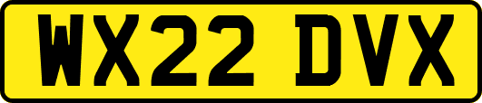 WX22DVX