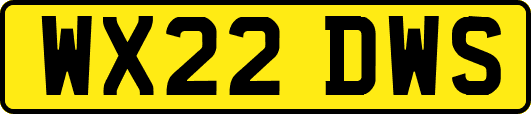 WX22DWS