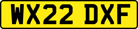 WX22DXF