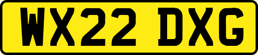 WX22DXG