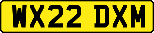 WX22DXM