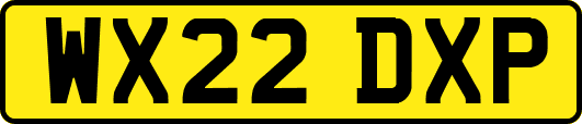 WX22DXP