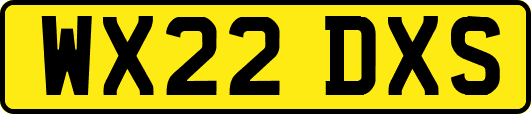 WX22DXS