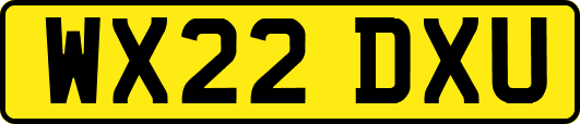 WX22DXU