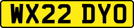 WX22DYO