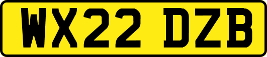 WX22DZB