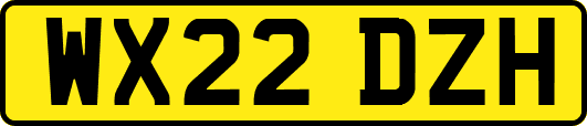 WX22DZH