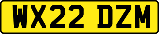 WX22DZM