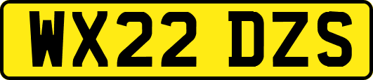 WX22DZS