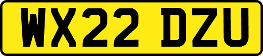 WX22DZU