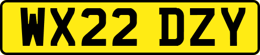WX22DZY