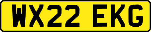 WX22EKG