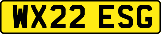 WX22ESG