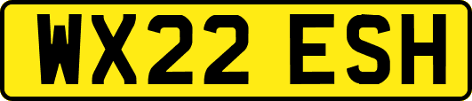 WX22ESH