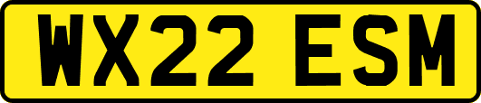 WX22ESM