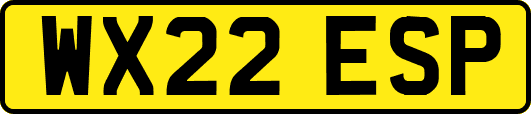 WX22ESP